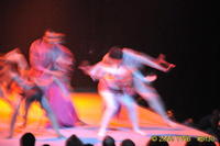 2009 Lunar Gala 