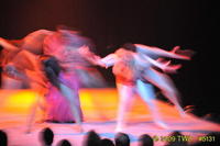 2009 Lunar Gala 