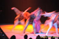 2009 Lunar Gala 