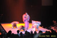 2009 Lunar Gala 