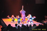 2009 Lunar Gala 