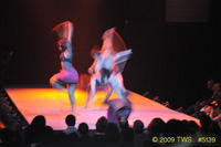 2009 Lunar Gala 