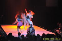 2009 Lunar Gala 