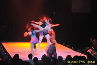 2009 Lunar Gala 