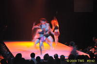 2009 Lunar Gala 