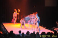 2009 Lunar Gala 
