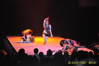 2009 Lunar Gala 