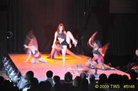 2009 Lunar Gala 