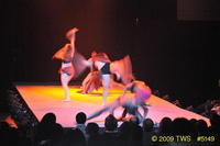 2009 Lunar Gala 