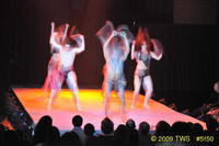 2009 Lunar Gala 