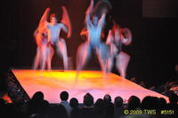 2009 Lunar Gala 