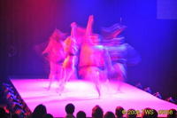 2009 Lunar Gala 