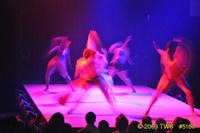 2009 Lunar Gala 
