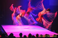 2009 Lunar Gala 