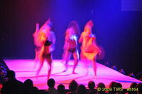 2009 Lunar Gala 