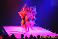 2009 Lunar Gala 