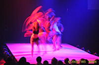 2009 Lunar Gala 