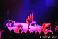 2009 Lunar Gala 