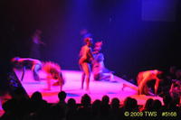 2009 Lunar Gala 