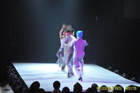 2009 Lunar Gala 