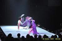 2009 Lunar Gala 