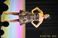 2009 Lunar Gala 