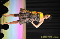 2009 Lunar Gala 