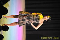 2009 Lunar Gala 