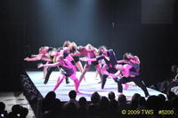 2009 Lunar Gala 