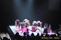2009 Lunar Gala 