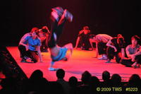 2009 Lunar Gala 