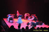 2009 Lunar Gala 
