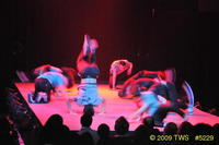 2009 Lunar Gala 