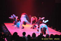 2009 Lunar Gala 
