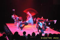2009 Lunar Gala 