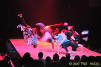 2009 Lunar Gala 