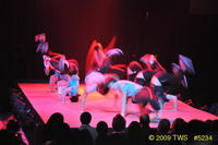 2009 Lunar Gala 