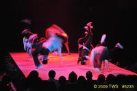 2009 Lunar Gala 