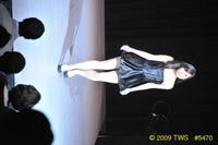 2009 Lunar Gala 