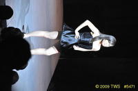 2009 Lunar Gala 
