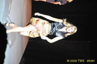 2009 Lunar Gala 