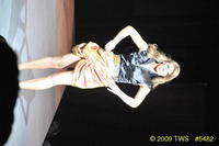 2009 Lunar Gala 