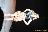 2009 Lunar Gala 