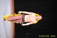 2009 Lunar Gala 