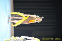 2009 Lunar Gala 