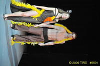 2009 Lunar Gala 
