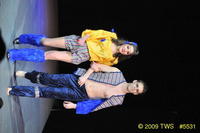 2009 Lunar Gala 