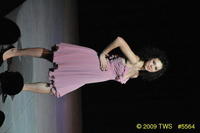 2009 Lunar Gala 