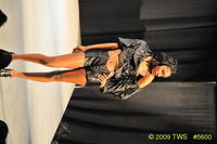 2009 Lunar Gala 