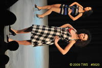 2009 Lunar Gala 